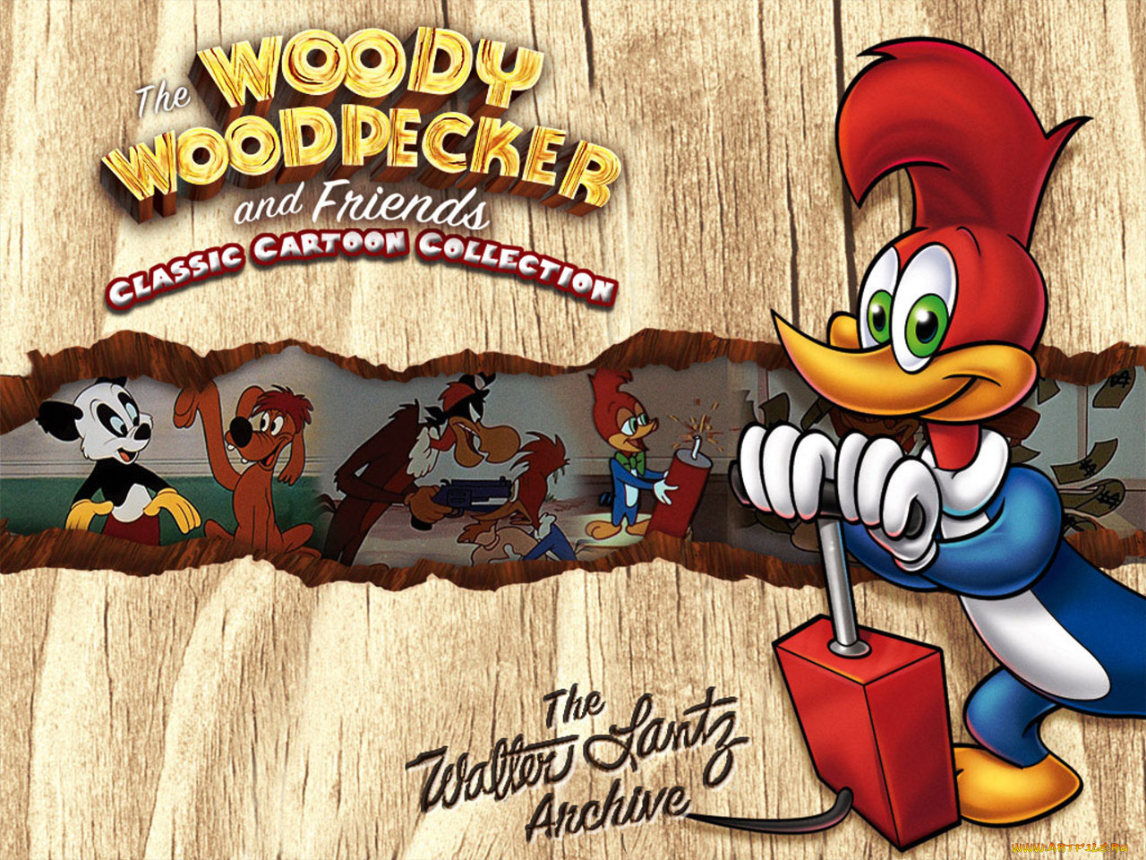 woody, woodpecker, 